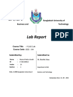 Lab Report: Technology