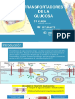 Transportadores de Glucosa