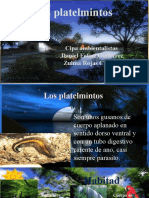 Los Platelmintos Tutoria 3