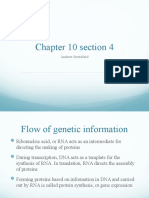 Chapter 10 Section 4: Andrew Burtsfield