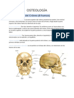 Osteología