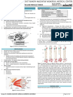 6 PATHO 3a - Musculoskeletal I - Dr. Dy-Ledesma