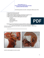 Assignment No - 11 Digestive System (Alimentary System) Laboratory Procedure