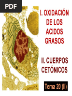 Oxidacion Cuerpos Cetonicos