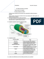 Celula Procariota y Eucariota Acctividad. 2° DYLAN QUIROGA