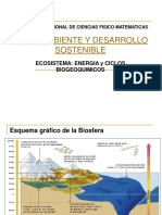 Ciclos Biogeoquimicos