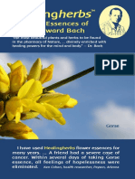 Healingherbs: Flower Essences of Dr. Edward Bach