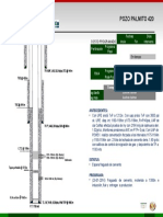 Palmito 420