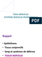 Tissu Nerveux Partie 1