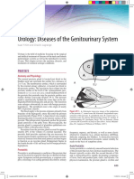 Urology: Diseases of The Genitourinary System: Prostate