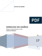 Monografía Derecho de Daños