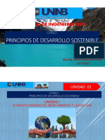 Facultad de Ingenieria Civil: Principios de Desarrollo Sostenible