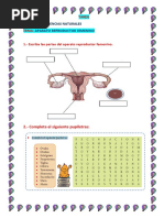 Tareas y Deberes