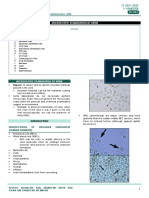 Prof. Ethel Marie Mangada, RMT: Microscopic Examination of Urine