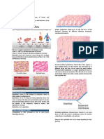 Tissues and Membranes Handout