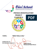 Phy Project Report Format