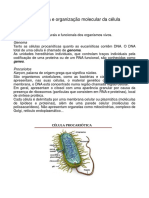 Arquitetura e Organização Molecular Da Célula