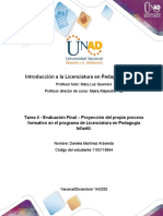 Proyeccion Del Proceso Formativo