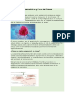 1 Tarea Expocitiva Caracteristicas y Faces Del Cancer Semana 1 Oncologia