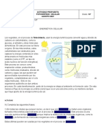 Biologia Fotosintesis