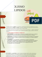 Metabolismo de Los Lipidos