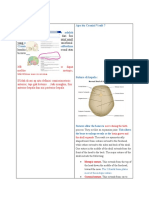 1.translate Sumber Dan Materi Hafalan (AutoRecovered)