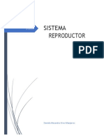 Sistema Reproductor Completo