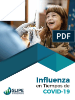 Documento Final Influenza