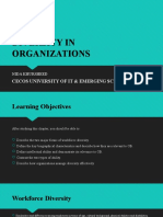 DIVERSITY IN ORGANIZATIONS - Lecture 2 Week 3