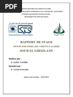 Rapport de Stage de L'usine de Sour El Ghozlane