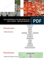 Transformação Do Músculo em Carne - Rigor Mortis