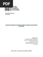 Reporte de Investigación - Explotación Infantil Con Enfoque Social Estructural Funcionalista