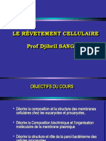 Revetement Cellulaire