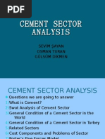 Cement Sector Analysis