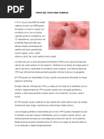 Virus Del Papiloma Humano 2