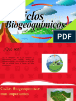 Ciclos Biogeoquimicos