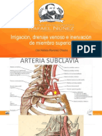 Irrigación, Drenaje Venoso e Inervación de Miembro Superior