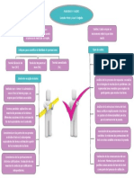 Organizador Gráfico Validez y Fiabilidad