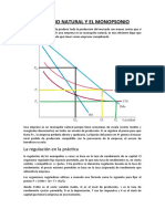 El Monopolio Natural y El Monopsonio