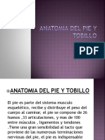 Anatomia Del Pie y Tobillo