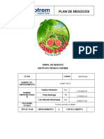 Formato Plan de Negocio