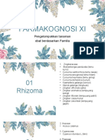 Farmakognosi Xi: Pengelompokkan Tanaman Obat Berdasarkan Familia