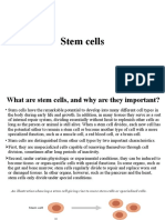 Stem Cells