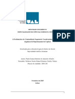 A Problemática Da Criminalidade Organizada Transfronteiriça e Os Diplomas Angolanos de Repatriamento de Capitais Finalizada