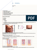 Examen Fiisco (Torax y Abdomen)