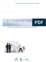 Manual Gestão Das Organizações Capitulo 5 2