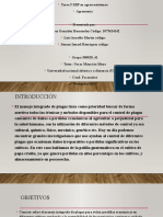 Tarea 5 Colaborativa MIP en Agroecosistemas. Power Paint