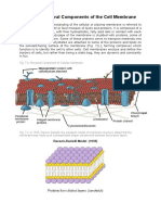 The Structural Components of The Cell Membrane and Its Functions, With Transport Mechanisms.