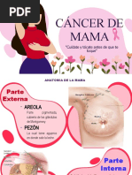 Cancer de Mama Expo