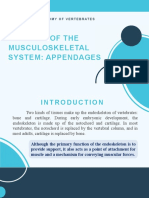 Anatomy of The Musculoskeletal System: Appendages